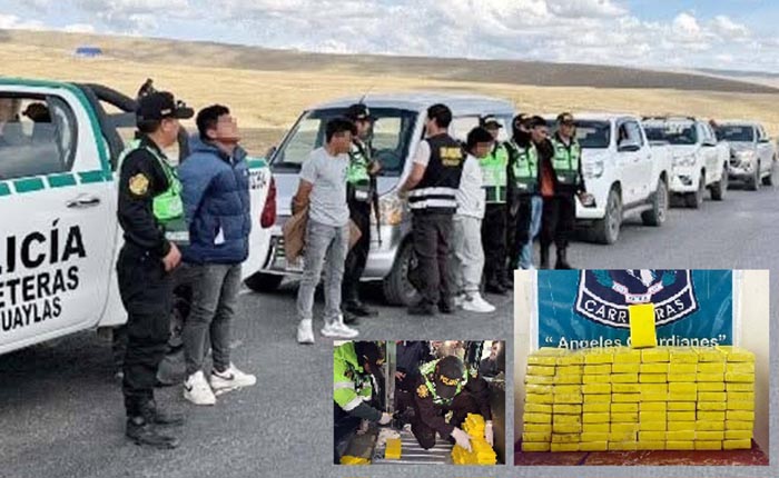 Cuatro sujetos caen con más de 80 kilos de clorhidrato de cocaína en Pampachiri 